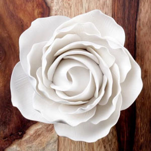 Giant Peace Rose - White