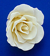 Roses - Ex-Large - White