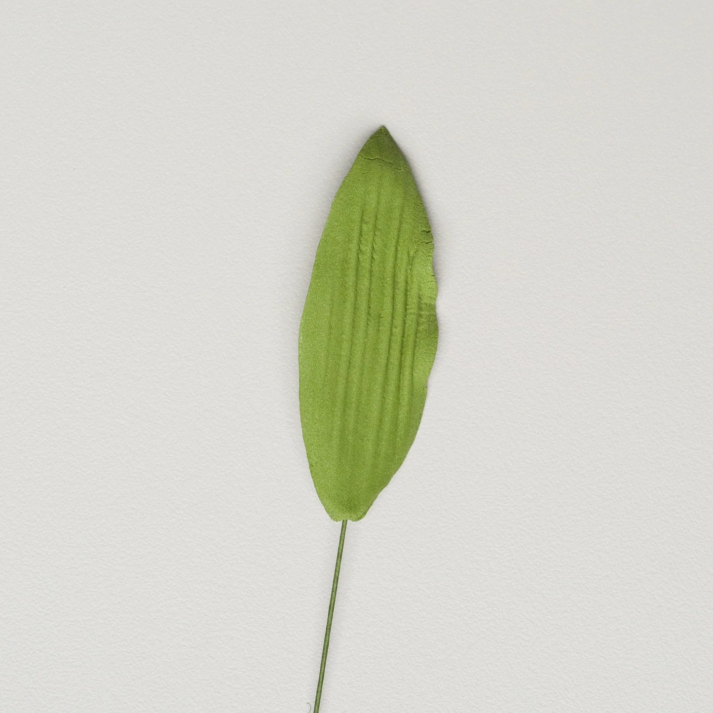 Orchid Leaves - 2.25" - 2PCS