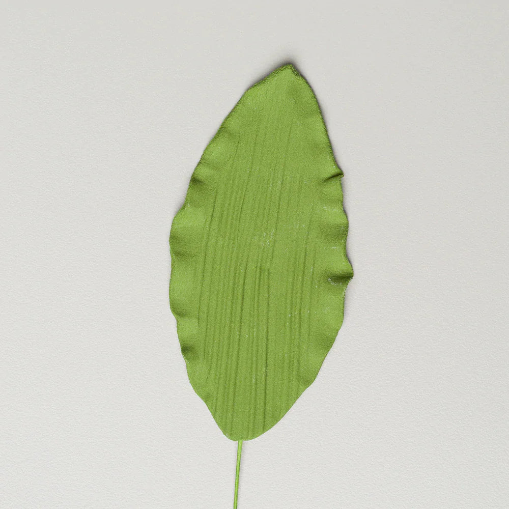 Orchid Leaves - 3.5" - 2PCS