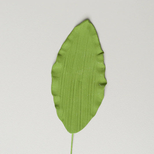 Orchid Leaves - 3.5" - 2PCS