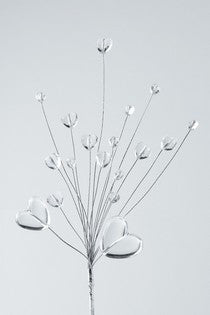 Clear Heart Spray - 10"