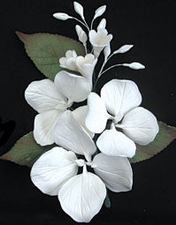 Lace Cap Hydrangea Spray