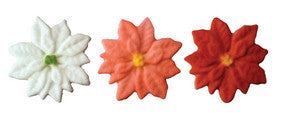 Muti-Colored Poinsettia