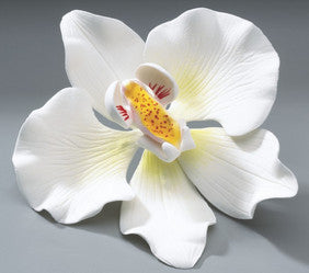 Orchid Gum Paste Flower