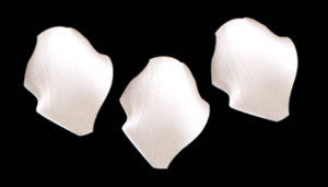 Rose Petals - White