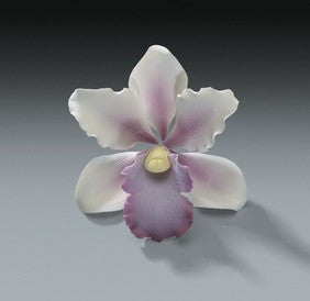 Tropical Orchid Gum Paste Flower