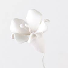 Bell flower white