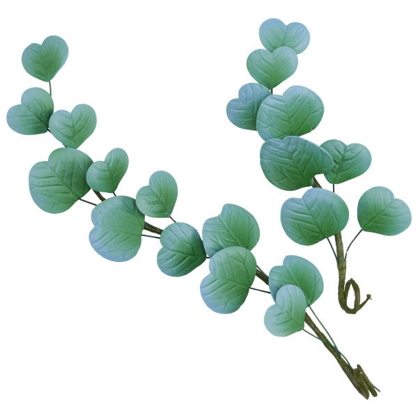 Eucalyptus Leaves Gum Paste