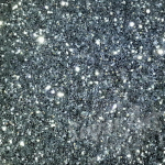 Silver Disco Shaker