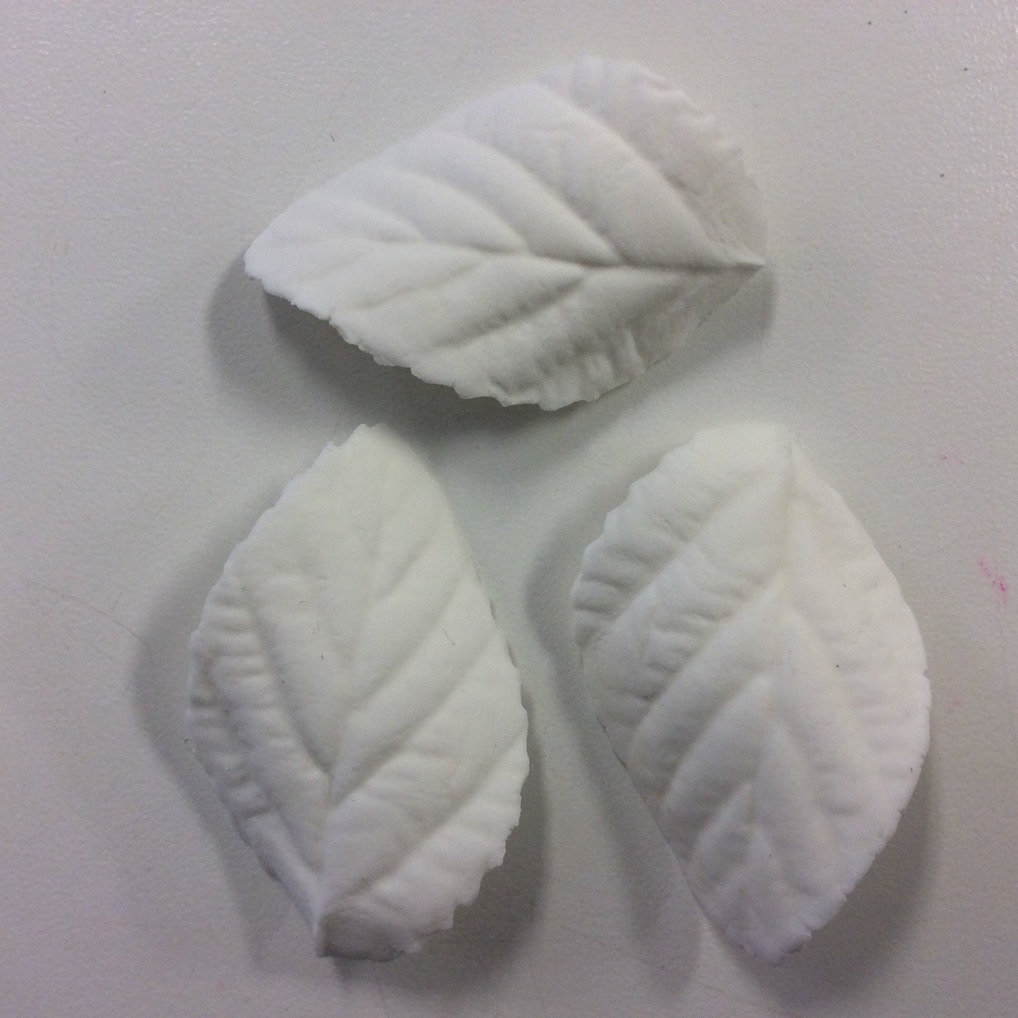 Gum Paste Leaves - White