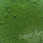 Holly Elite Color