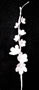 Blossom Filler Spray - White
