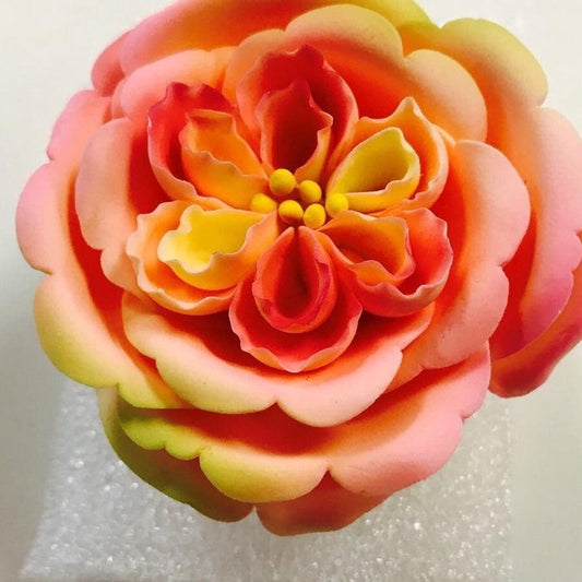 Ombré Pink and Yellow Flower Small