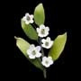 Blossom Filler Spray