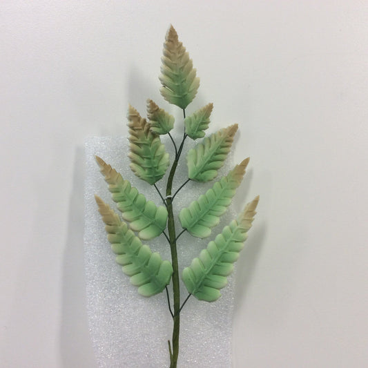 Large Leaf Spray
