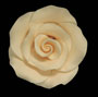Elegance Rose Ivory Large