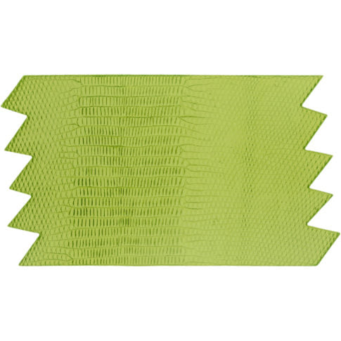 Lizard Mat
