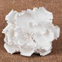 Large White Peony