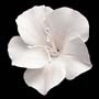 White Fruit Blossom - Large