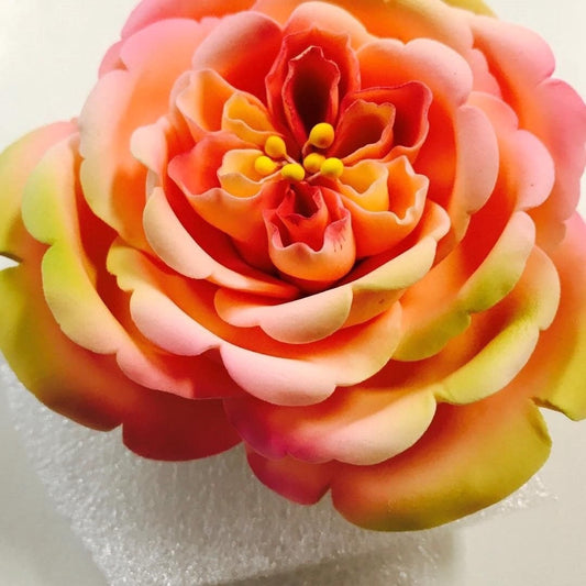 Ombré Pink and Yellow Flower Large