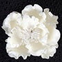 6" Extra Large White Peony