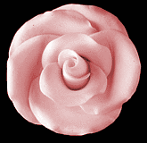 Elegance Rose Pink Large