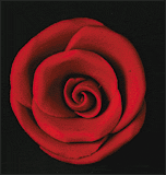 Elegance Rose Red Medium