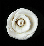 Elegance Rose White Medium