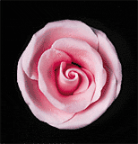 Elegance Rose Pink Medium